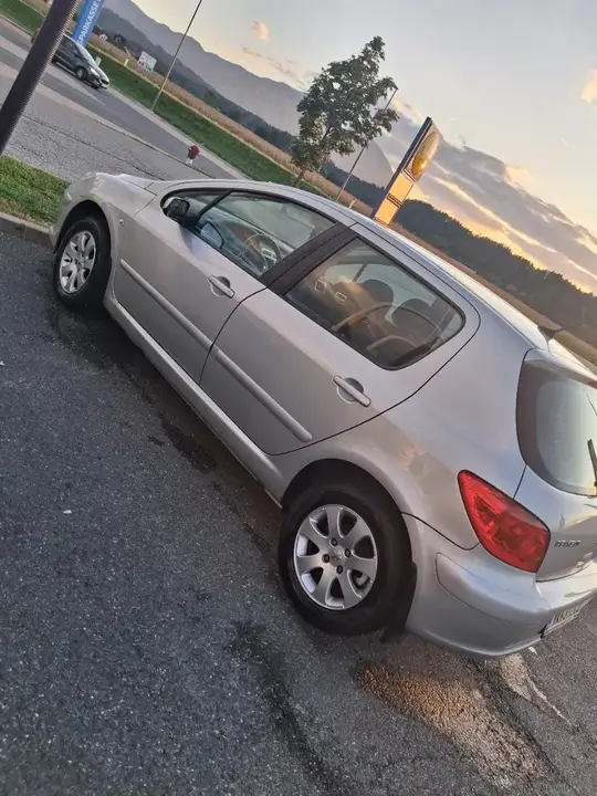 Peugeot 307 2007 photo 2