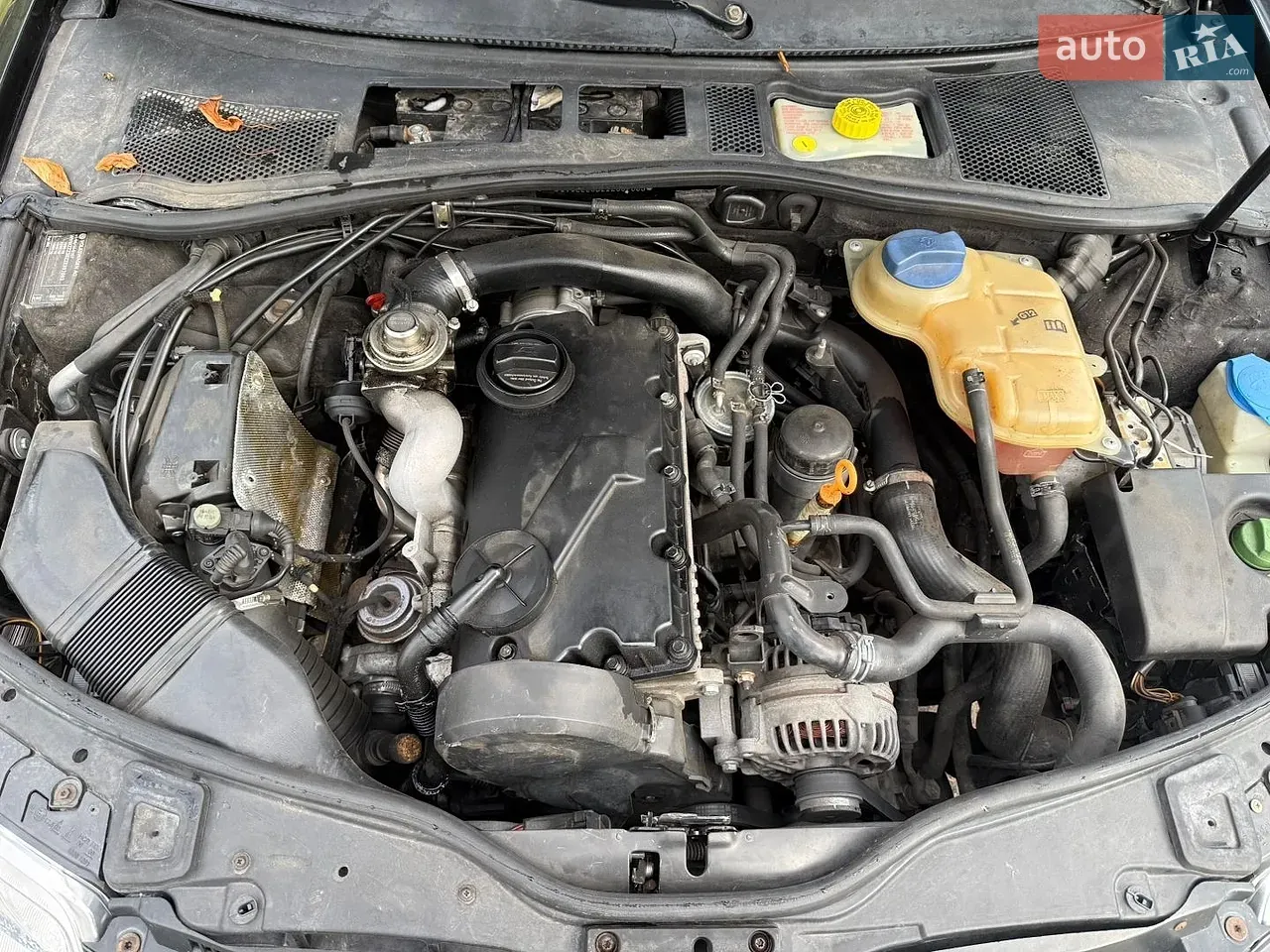 Volkswagen Passat 2002 photo 4