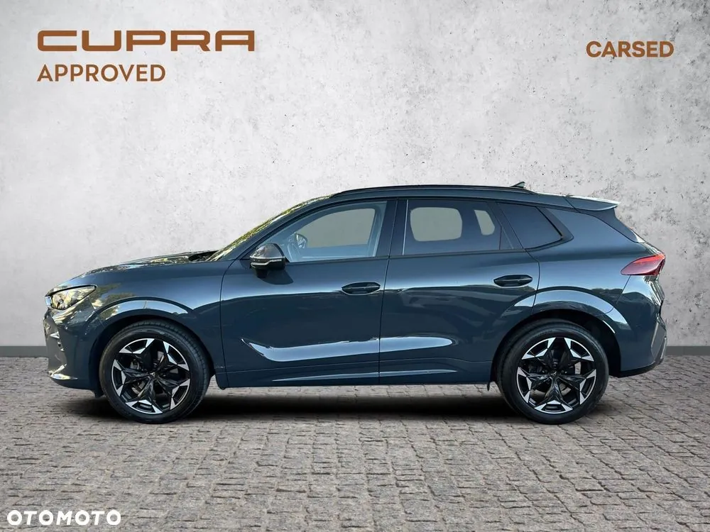 Cupra Terramar 2024 photo 2