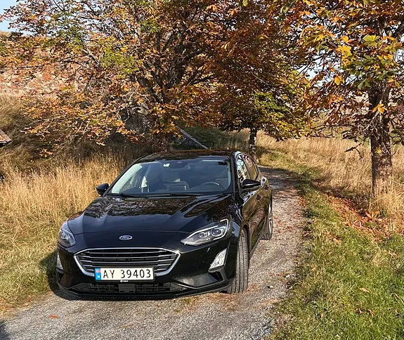 Ford Focus 2018 photo 2