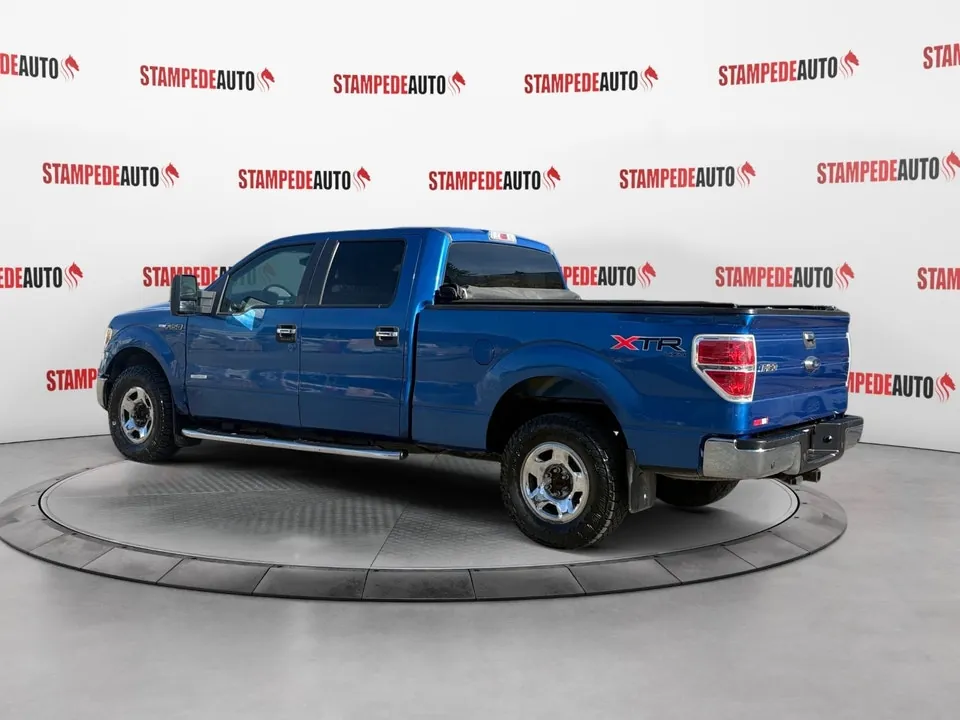 Ford F-150 2014 photo 3