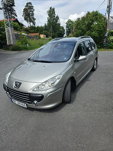 Peugeot 307 Sw