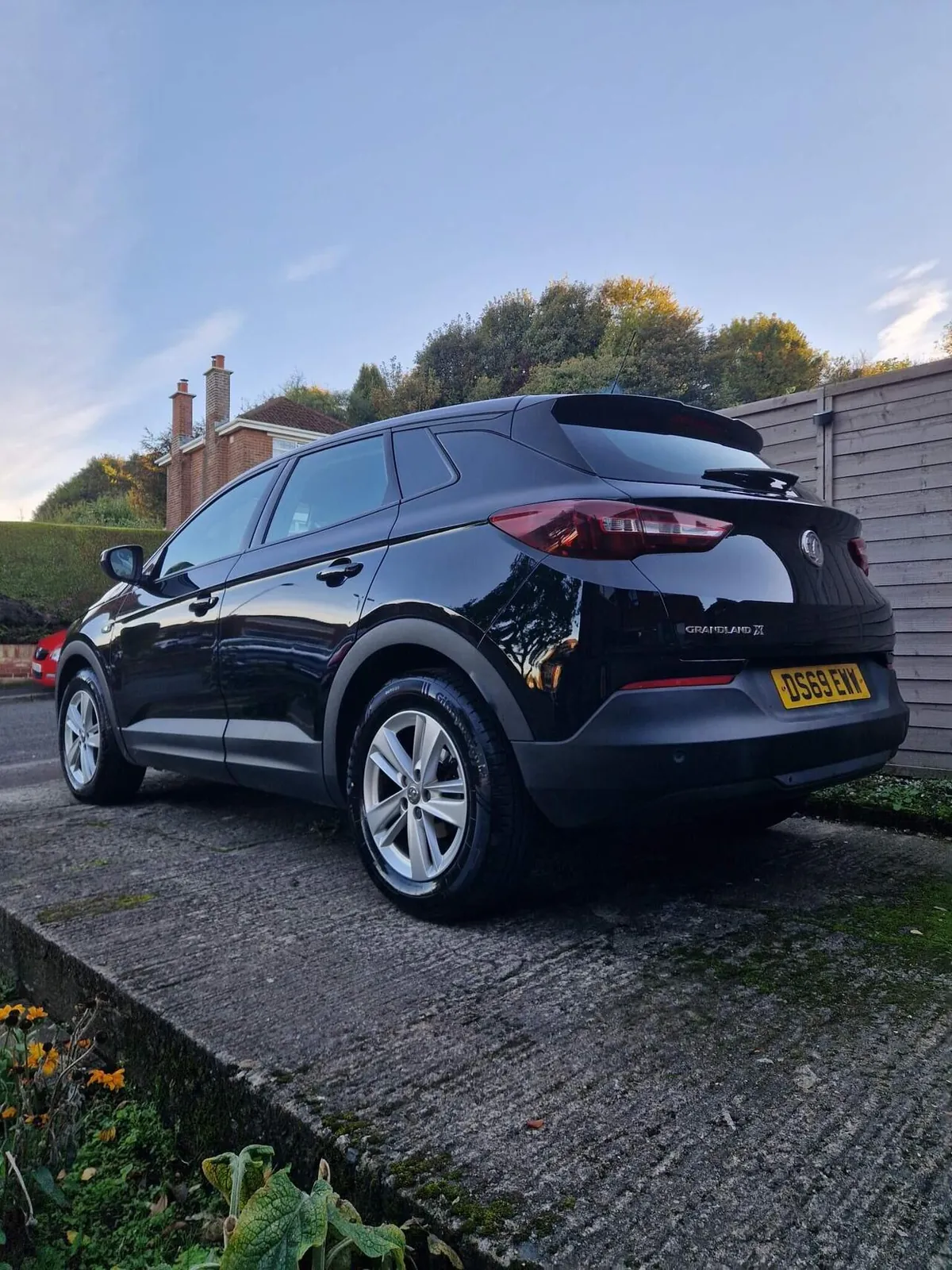 Vauxhall Grandland X 2019 photo 3