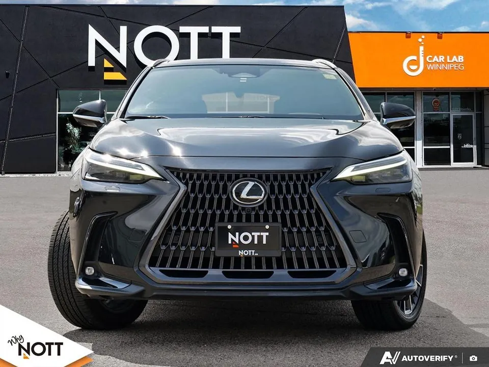 Lexus Nx 2023 photo 2
