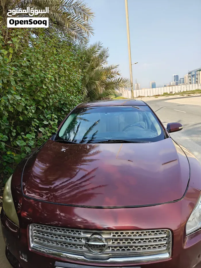 Nissan Maxima 2011 photo 2