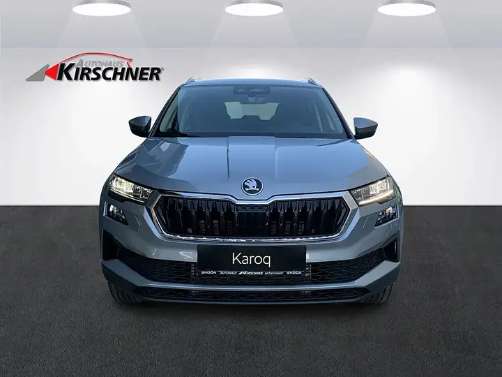 Skoda Karoq photo 2