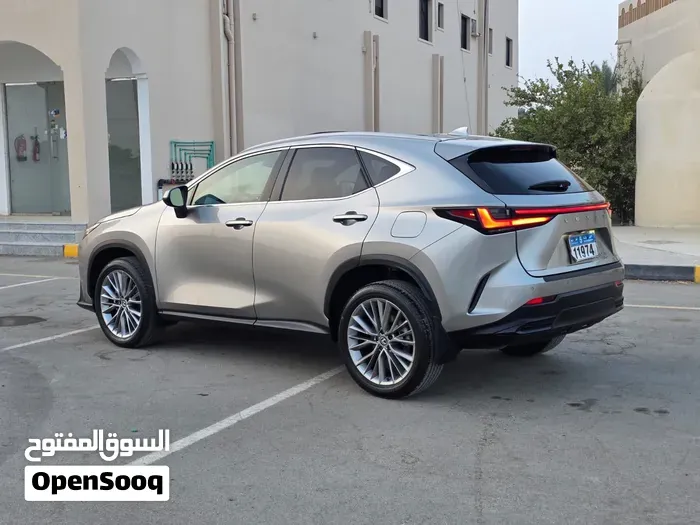 Lexus Nx 350 2024 photo 4