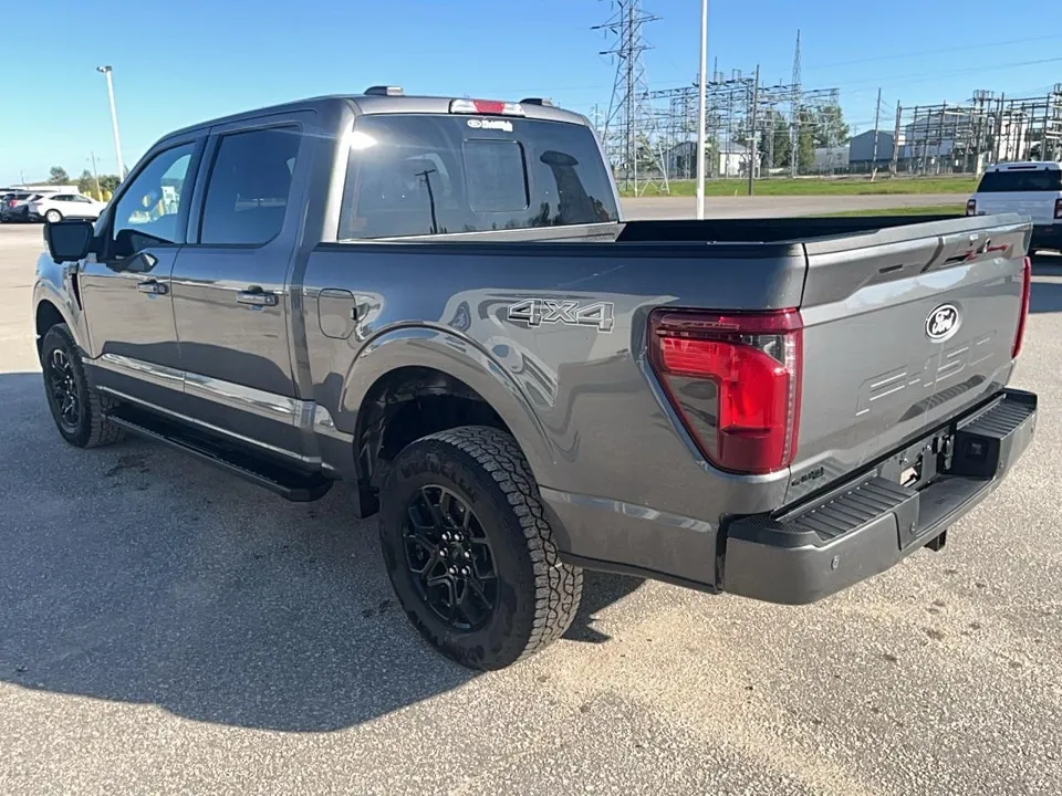 Ford F-150 2025 photo 4