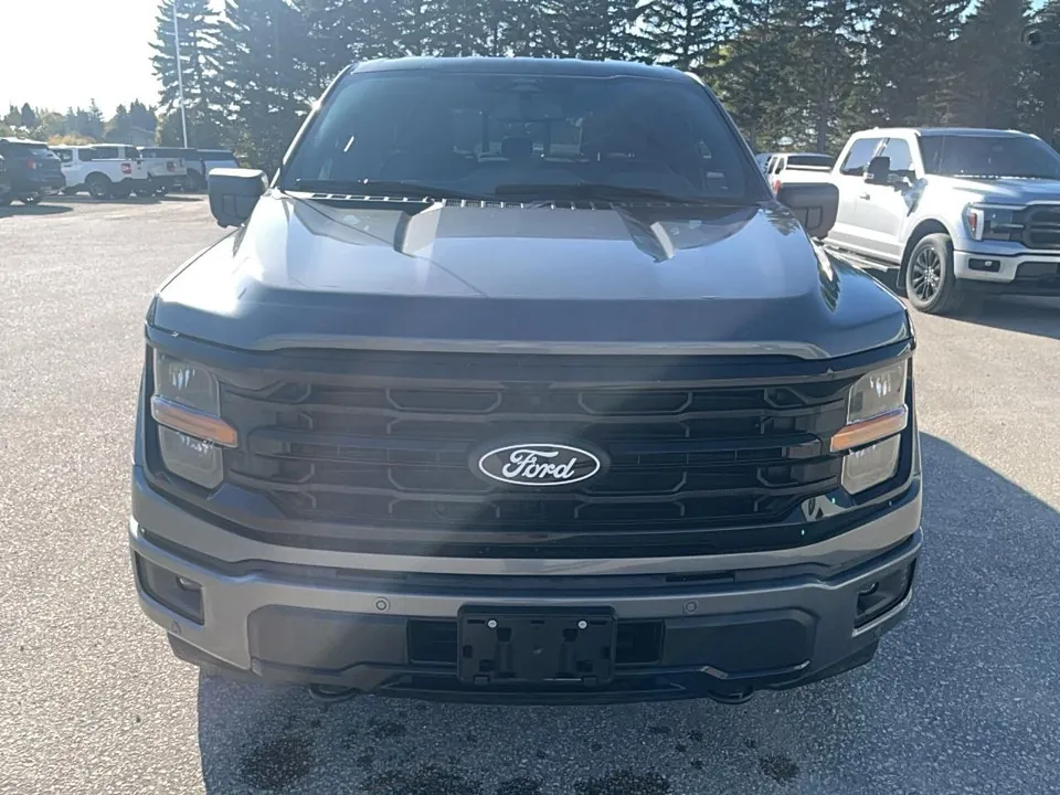 Ford F-150 2025 photo 2