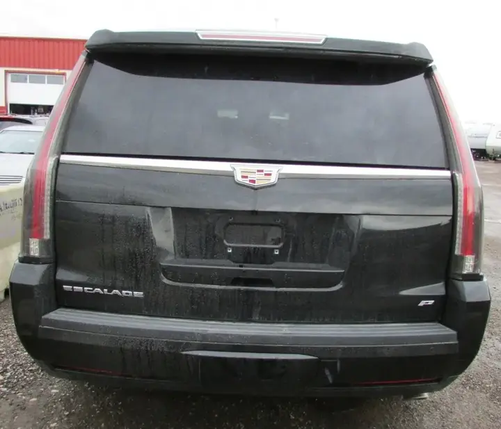 Cadillac Escalade Esv 2015 photo 5