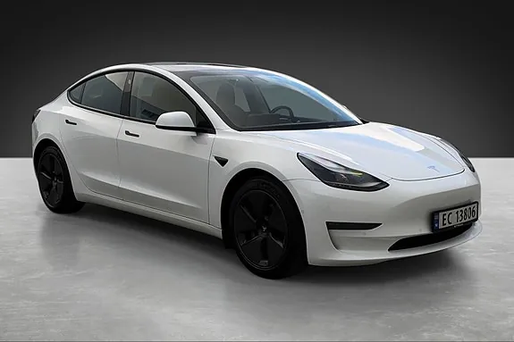 Tesla Model 3 2021 photo 3
