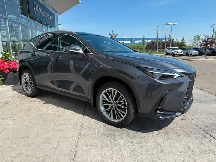 Lexus Nx 2026 photo 4