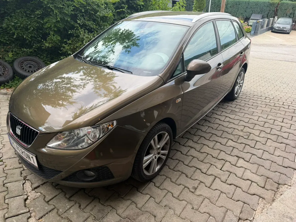 Seat Ibiza 2010 photo 2