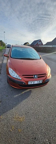 Peugeot 307 2003 photo 2
