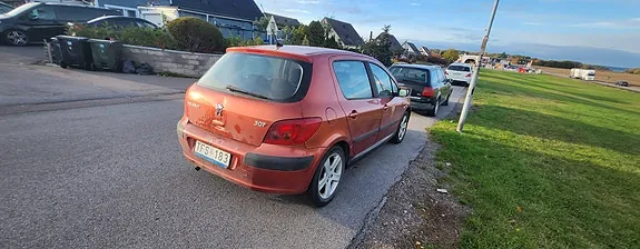Peugeot 307 2003 photo 5