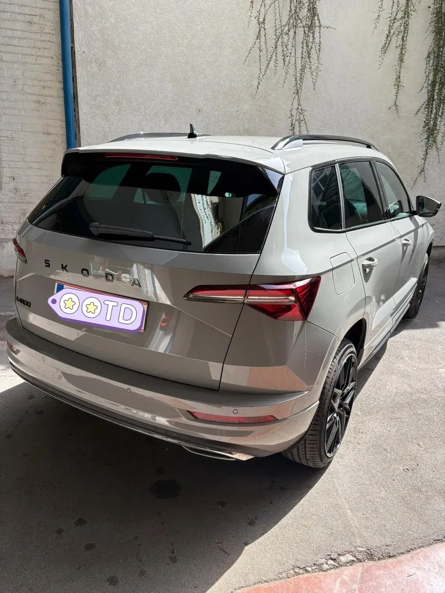 Skoda Karoq 2024 photo 2