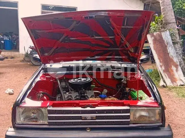 Nissan Sunny 1984 photo 5