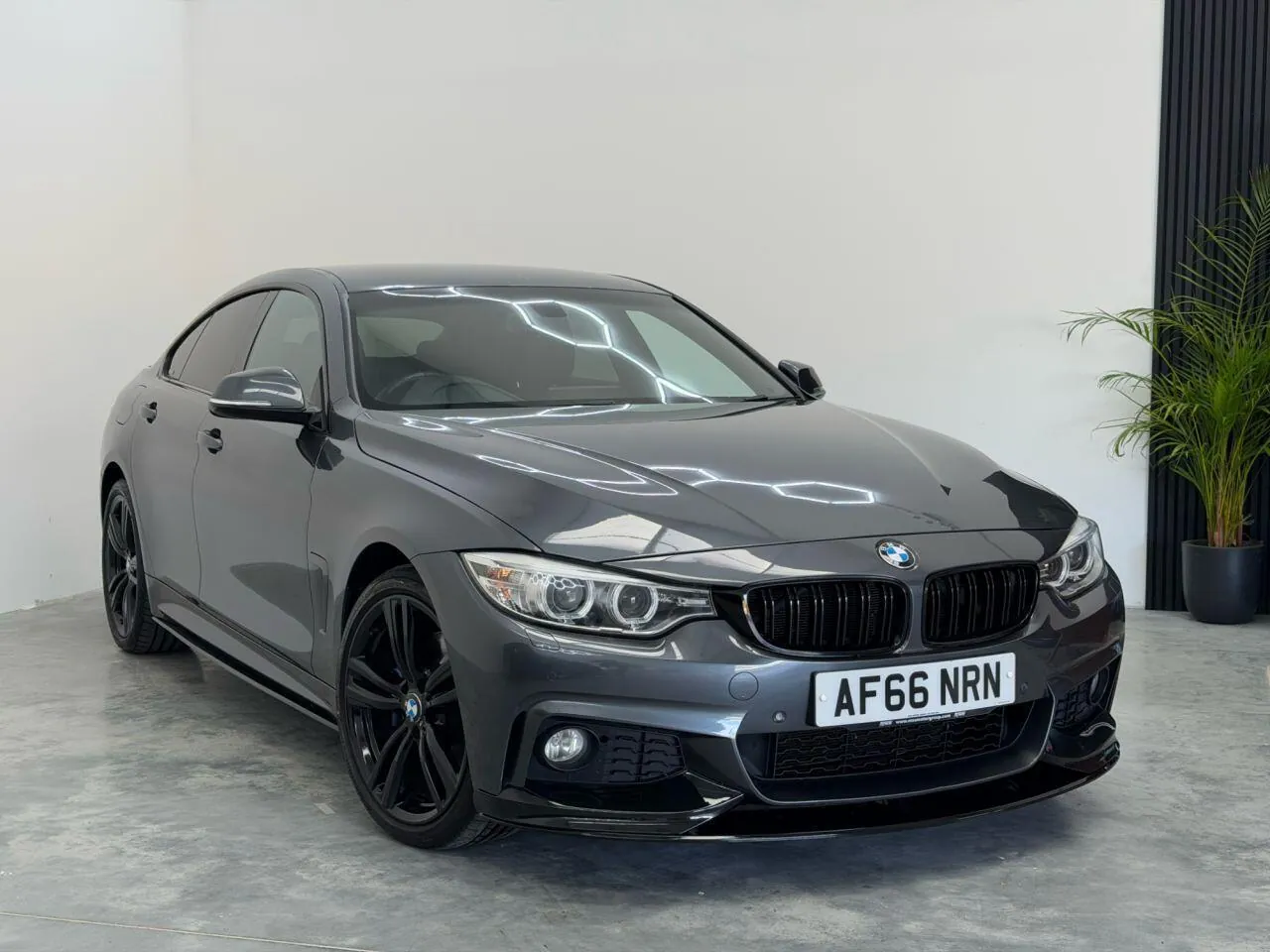 BMW 4 Series Gran Coupe 2016 photo 3
