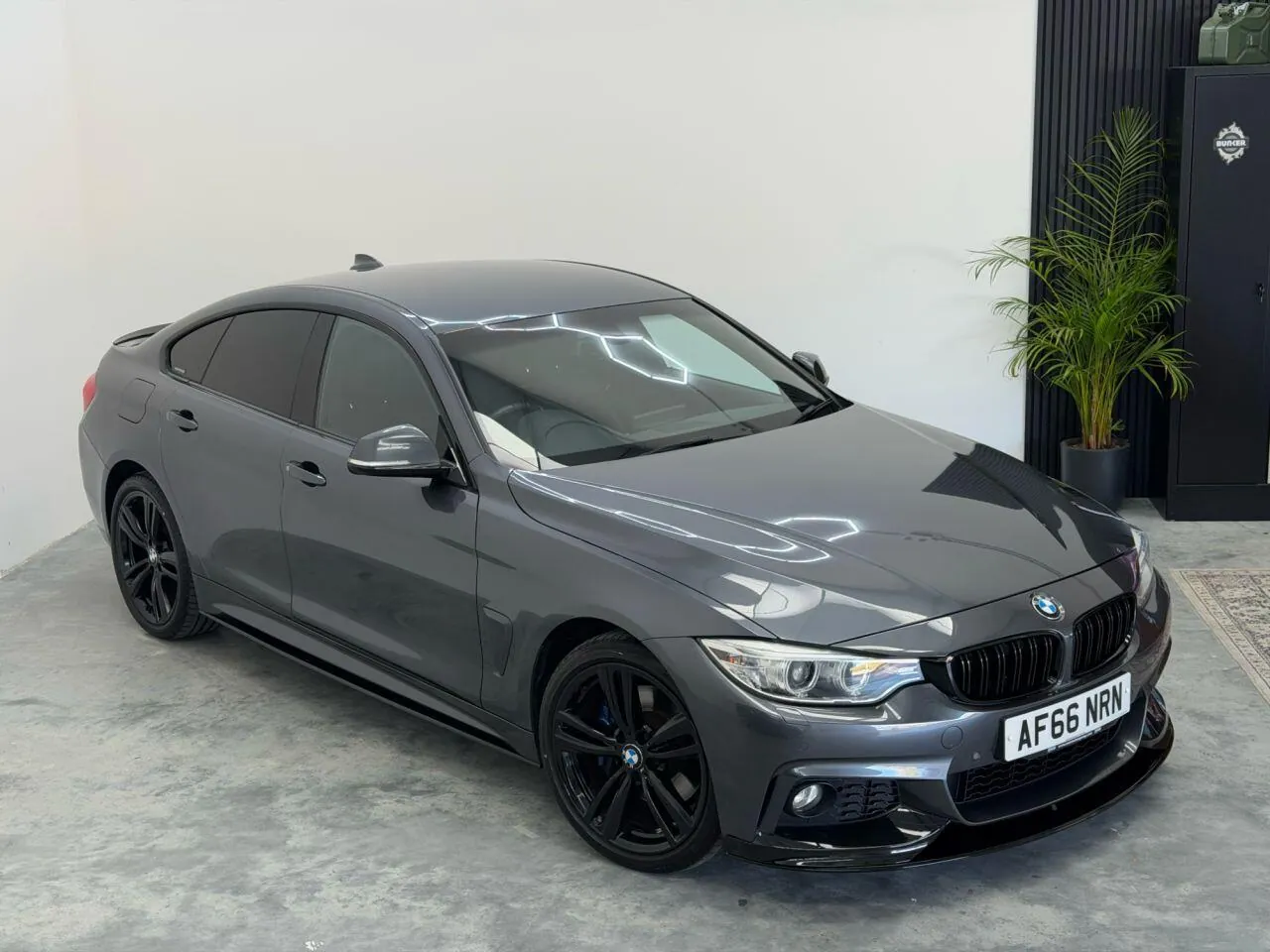 BMW 4 Series Gran Coupe 2016 photo 4