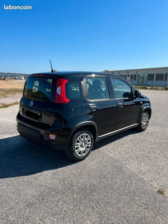 Fiat Panda 2024 photo 2