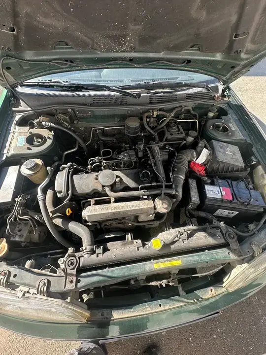 Nissan Primera 1999 photo 2