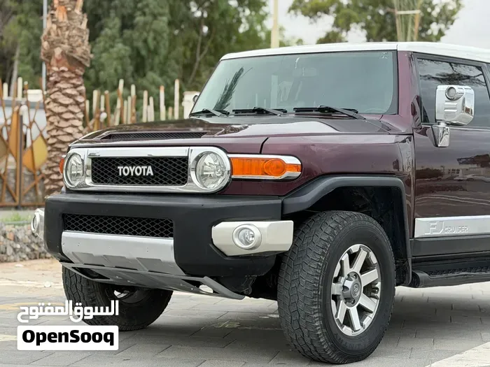 Toyota Fj 2008 photo 2