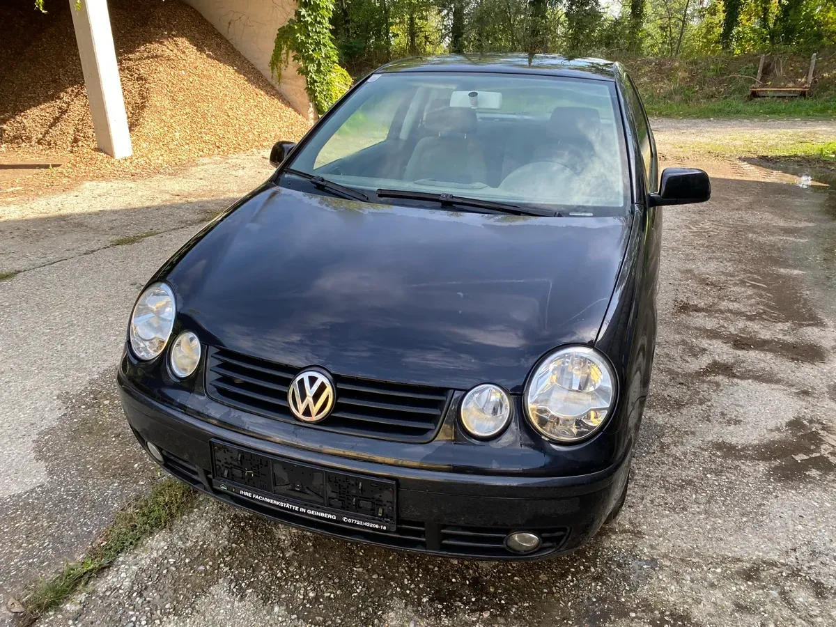 Volkswagen Polo 2003 photo 3