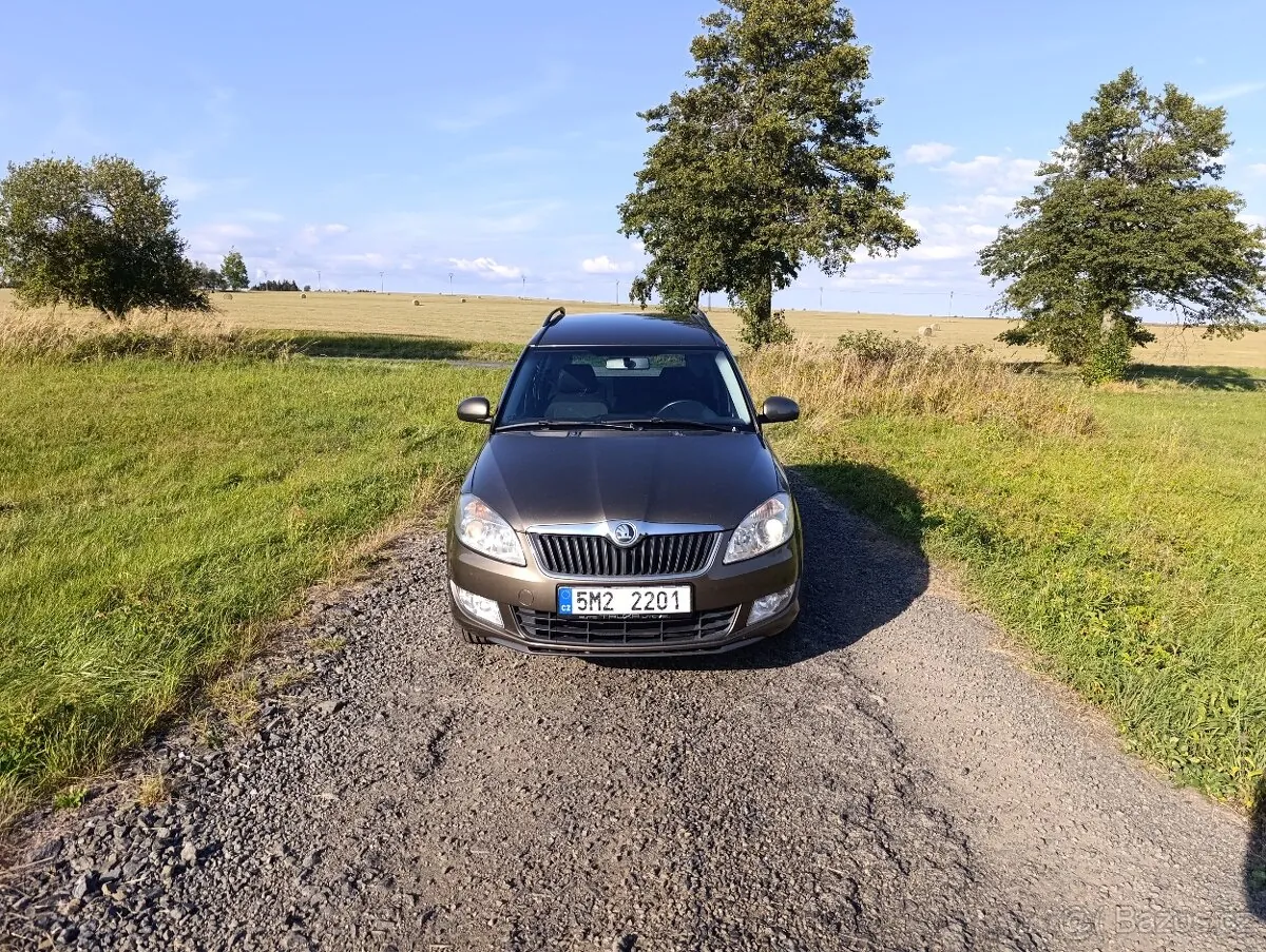 Skoda Roomster 2014 photo 5