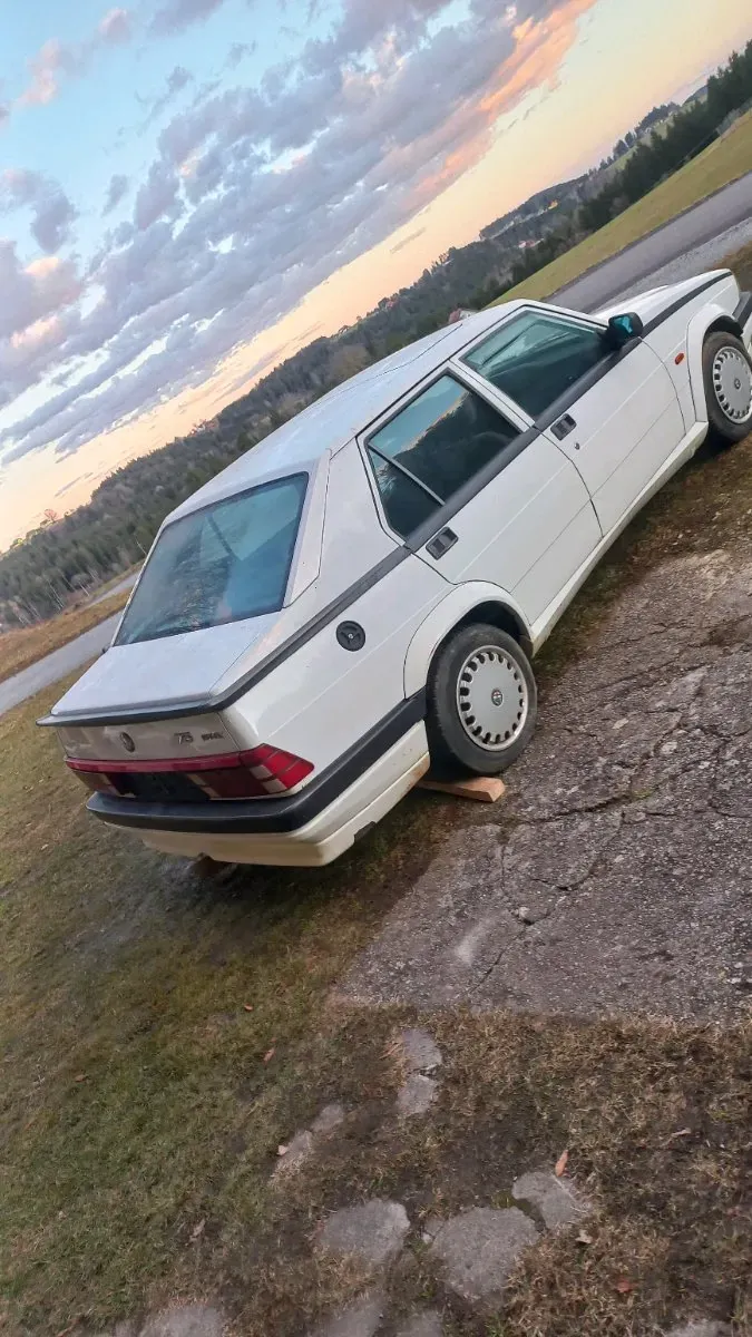 Alfa Romeo 75 1999 photo 2
