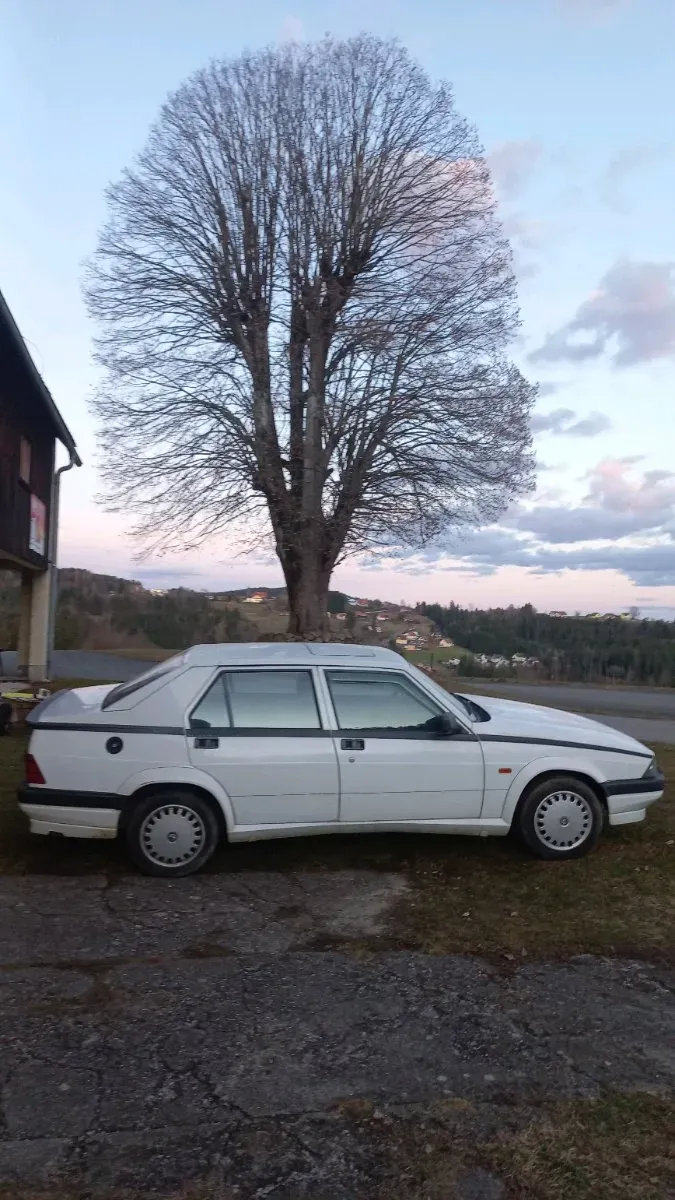 Alfa Romeo 75