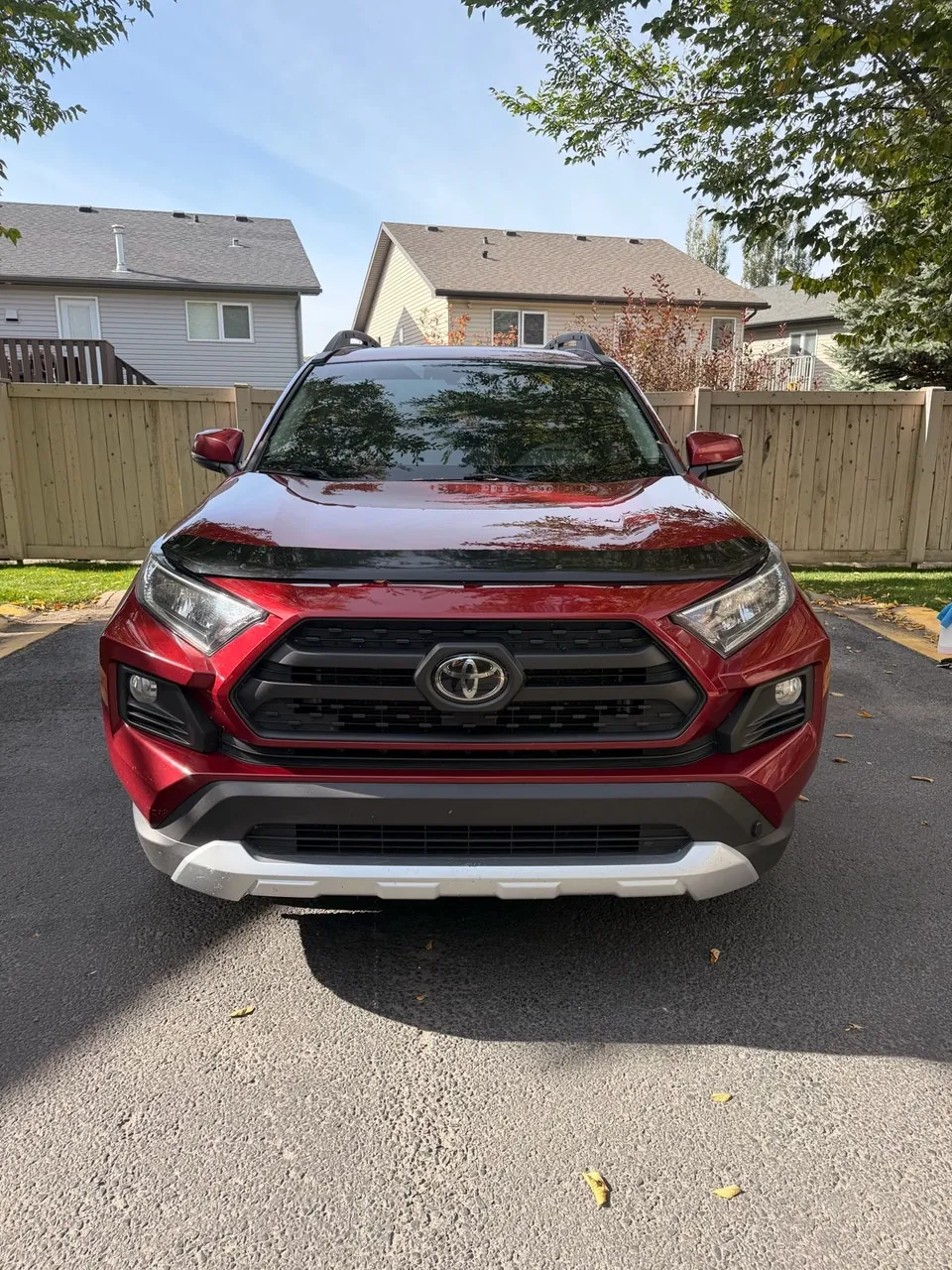 Toyota Rav4 2020 photo 3