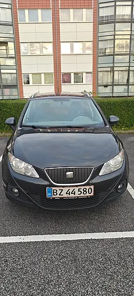Seat Ibiza 2011 photo 2