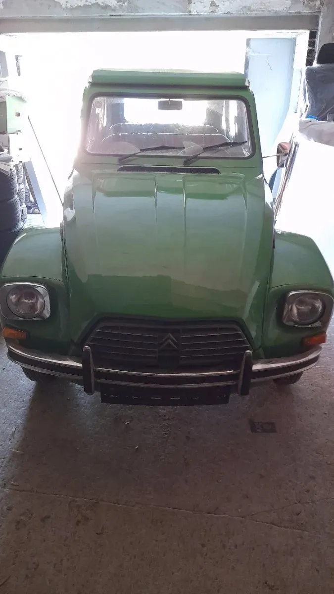 Citroen Dyane 6