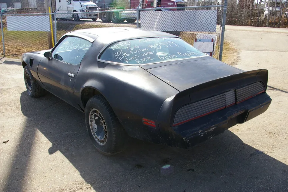 Pontiac Trans Am 1980 photo 5