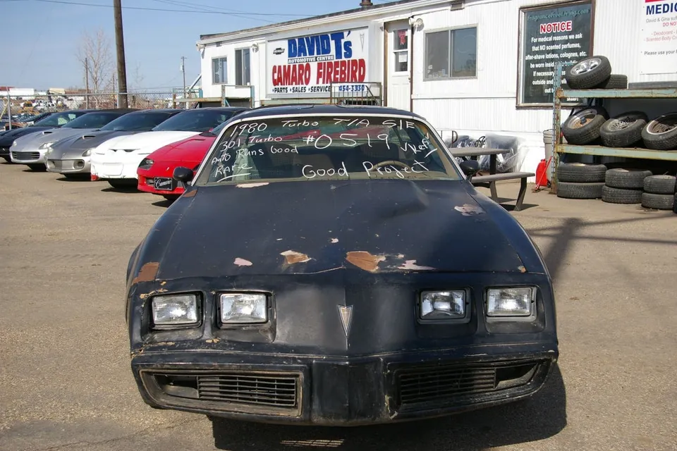 Pontiac Trans Am 1980 photo 2