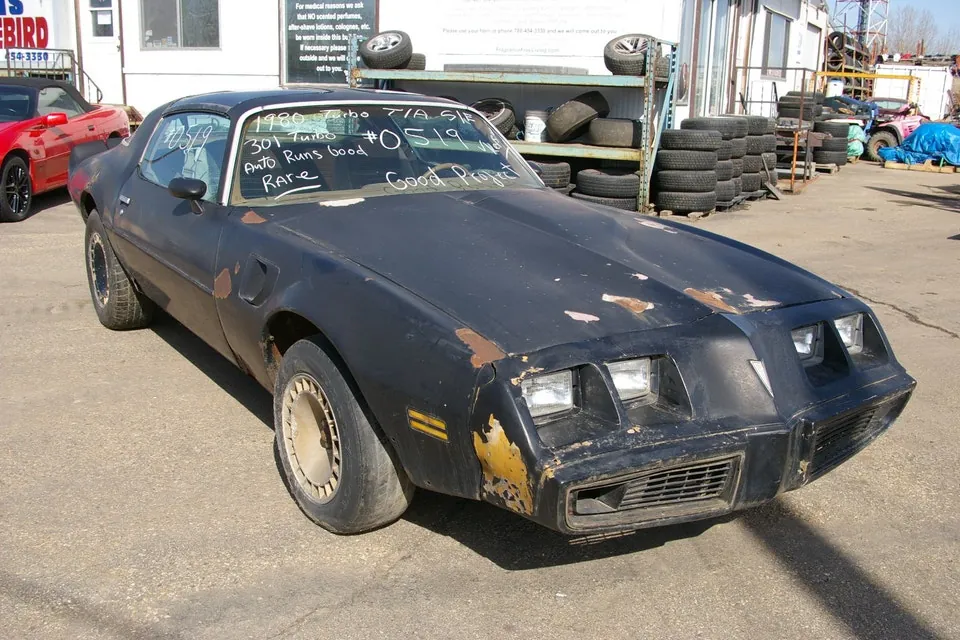 Pontiac Trans Am 1980 photo 3