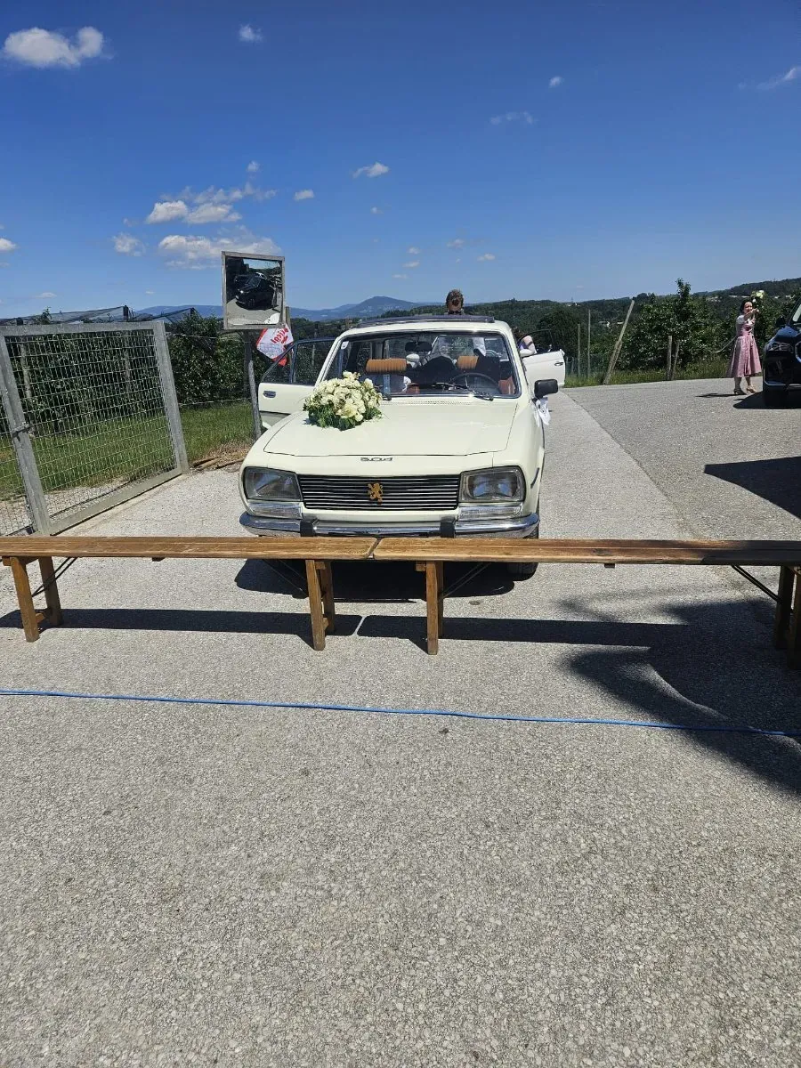 Peugeot 504
