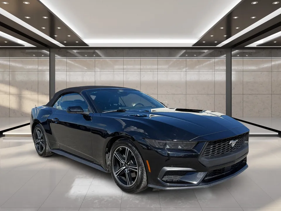 Ford Mustang 2025 photo 2