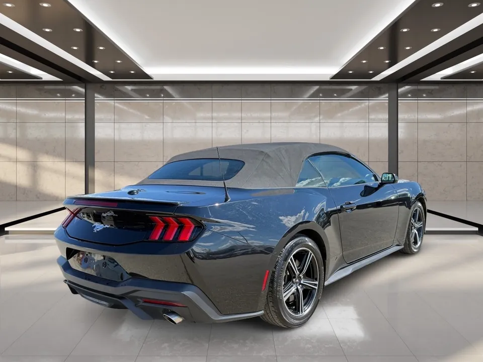 Ford Mustang 2025 photo 3