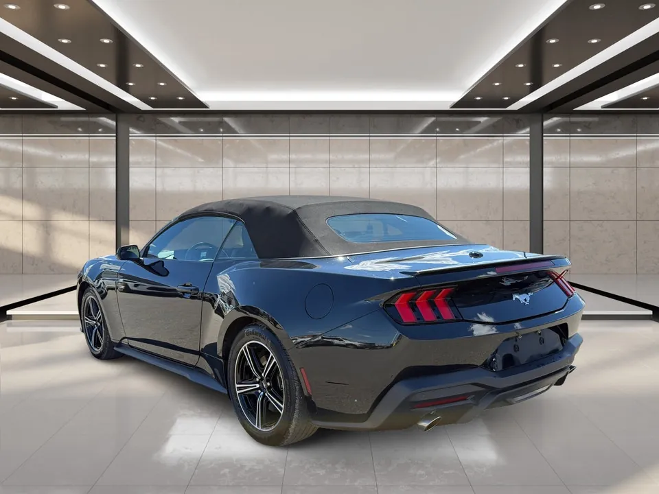 Ford Mustang 2025 photo 4
