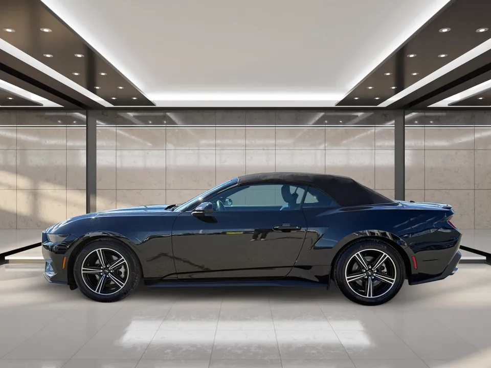Ford Mustang 2025 photo 5