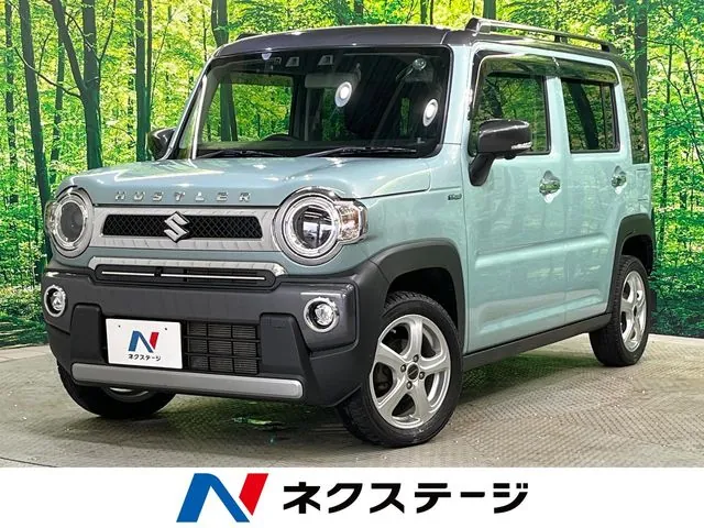 Suzuki Haruger