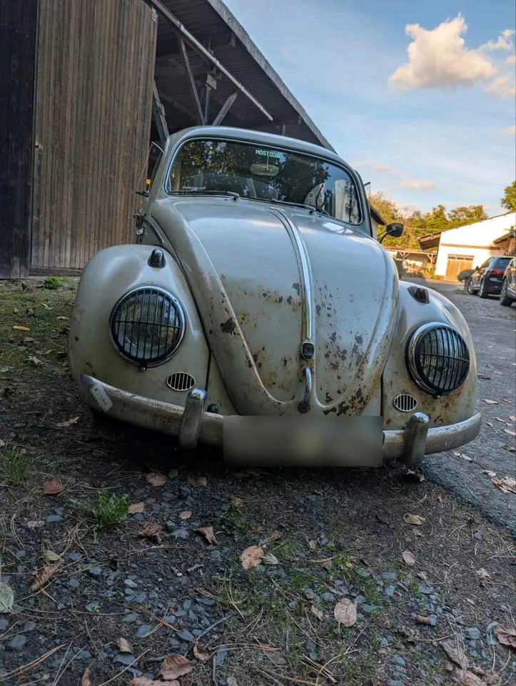 Volkswagen Käfer