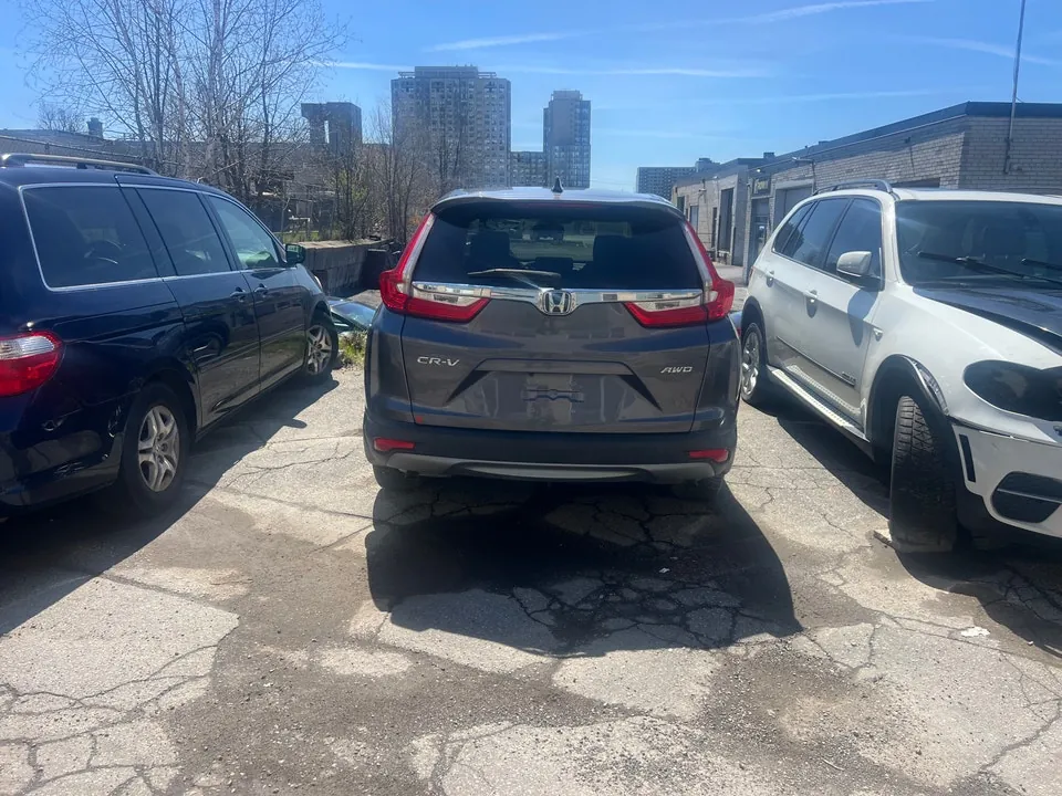 Honda Cr-V 2019 photo 3