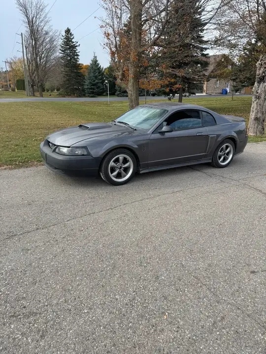 Ford Mustang 2003 photo 2