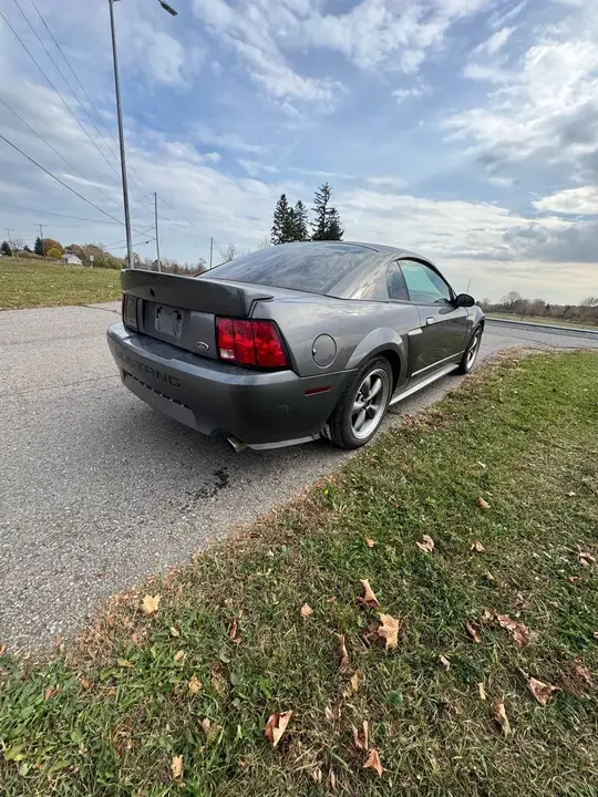 Ford Mustang 2003 photo 3