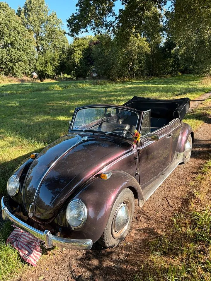Volkswagen Käfer Cabrio