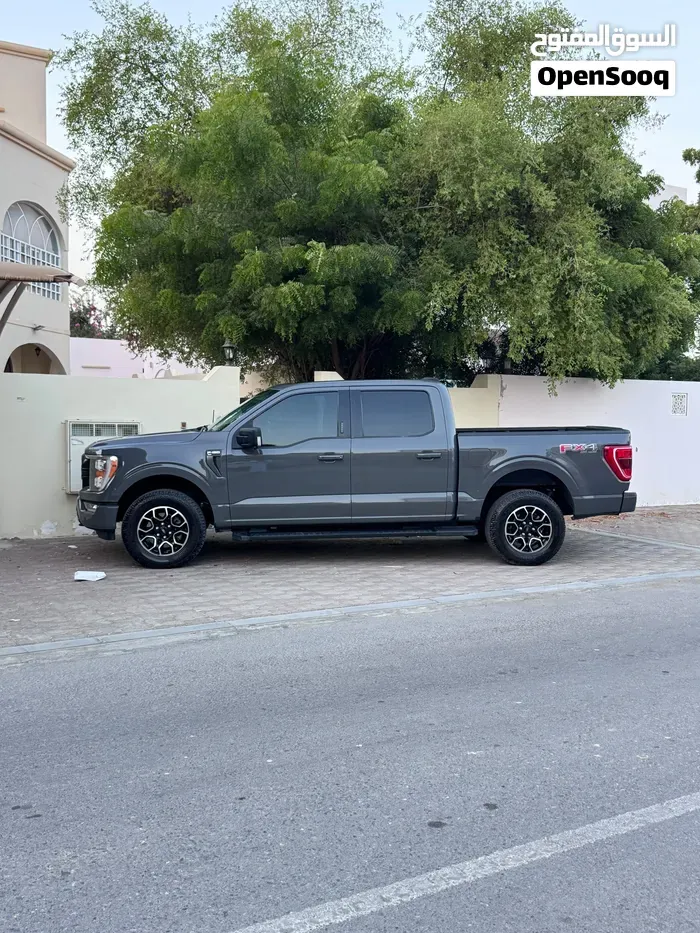 Ford F-150 2021 photo 3