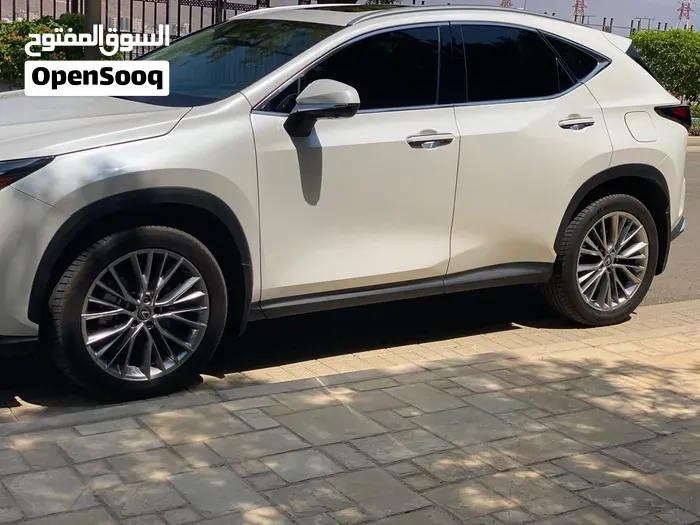 Lexus Nx 350 2025 photo 4