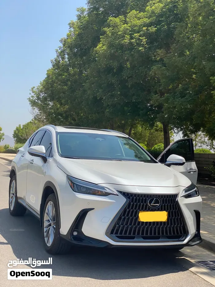 Lexus Nx 350 2025 photo 2